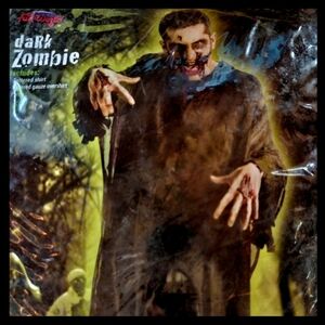 NEW Fun World Mens 3 Pc Dark Zombie Tattered Fabric Halloween Costume